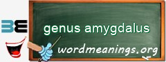 WordMeaning blackboard for genus amygdalus